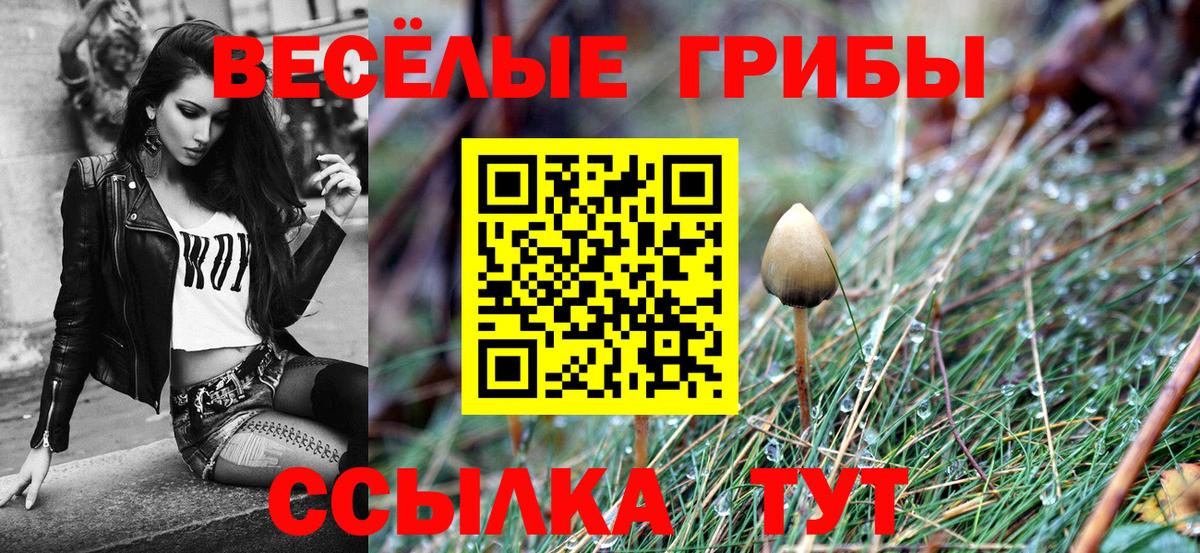 Псилоцибиновые грибы Magic Shrooms Малоярославец