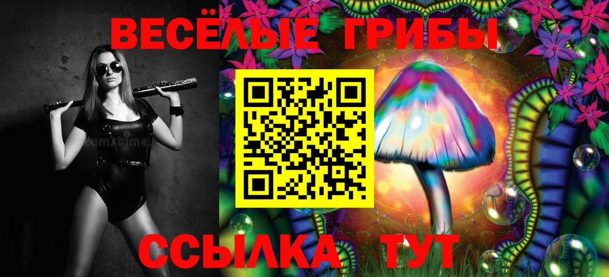 Псилоцибиновые грибы мицелий  Вход с VPN  Малоярославец 